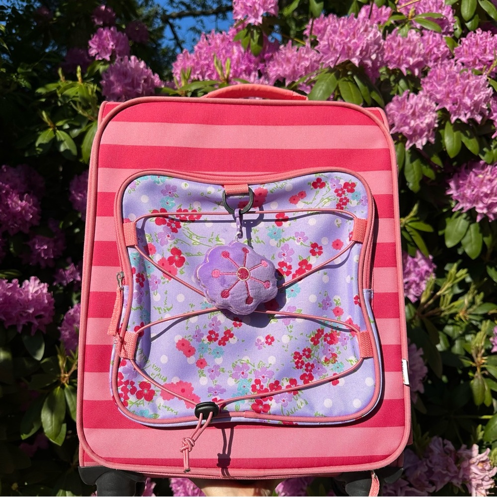 Pink Striped Carry-On Suitcase